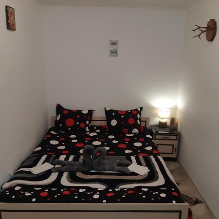 Florin Apartament سيفِسوارا المظهر الخارجي الصورة