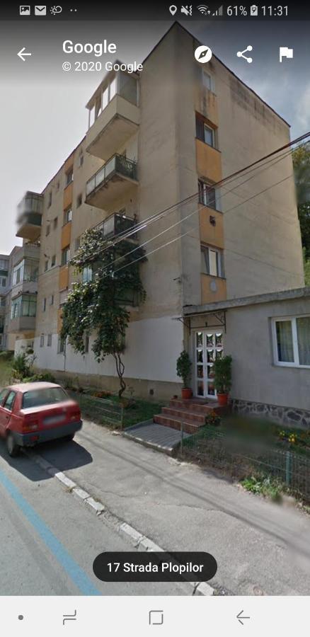Florin Apartament سيفِسوارا المظهر الخارجي الصورة