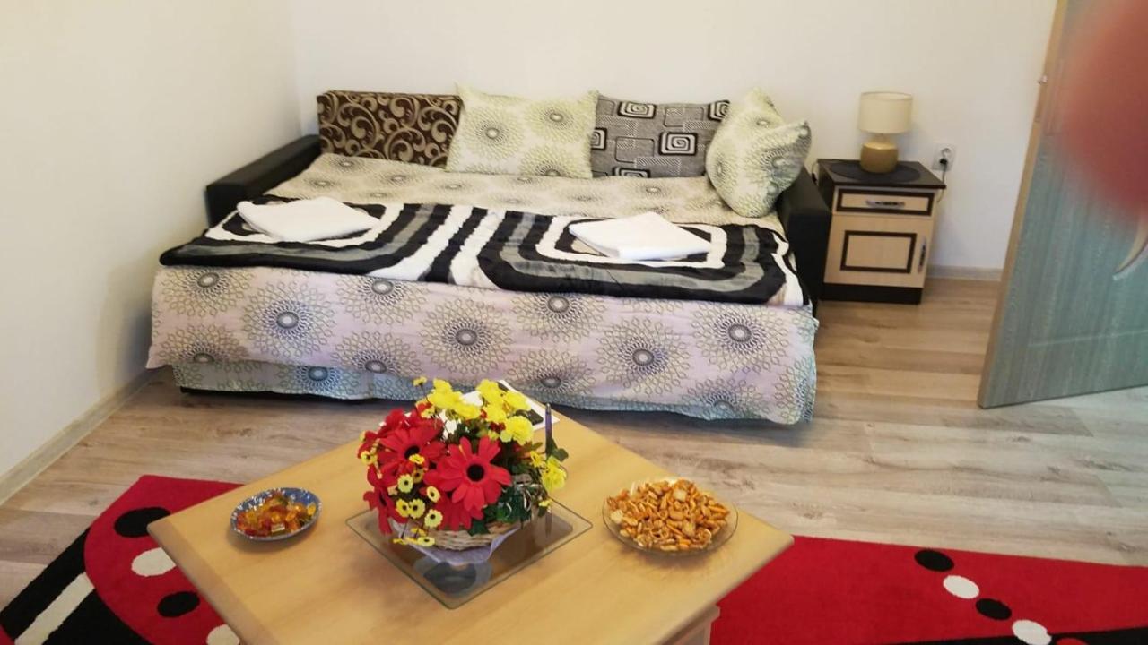 Florin Apartament سيفِسوارا المظهر الخارجي الصورة
