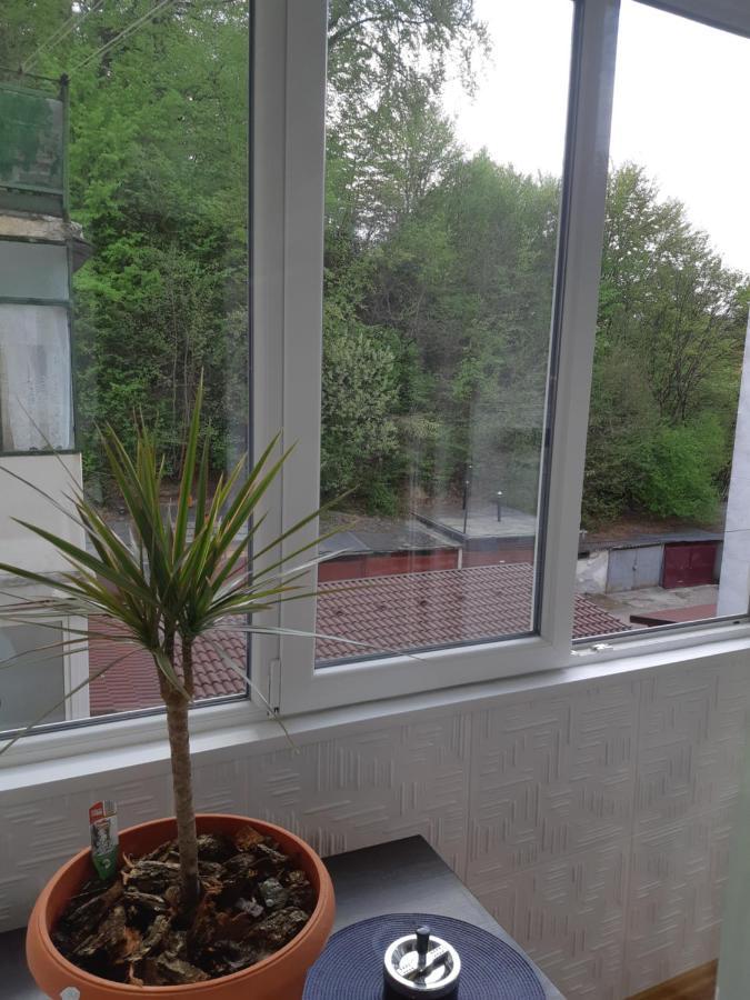 Florin Apartament سيفِسوارا المظهر الخارجي الصورة