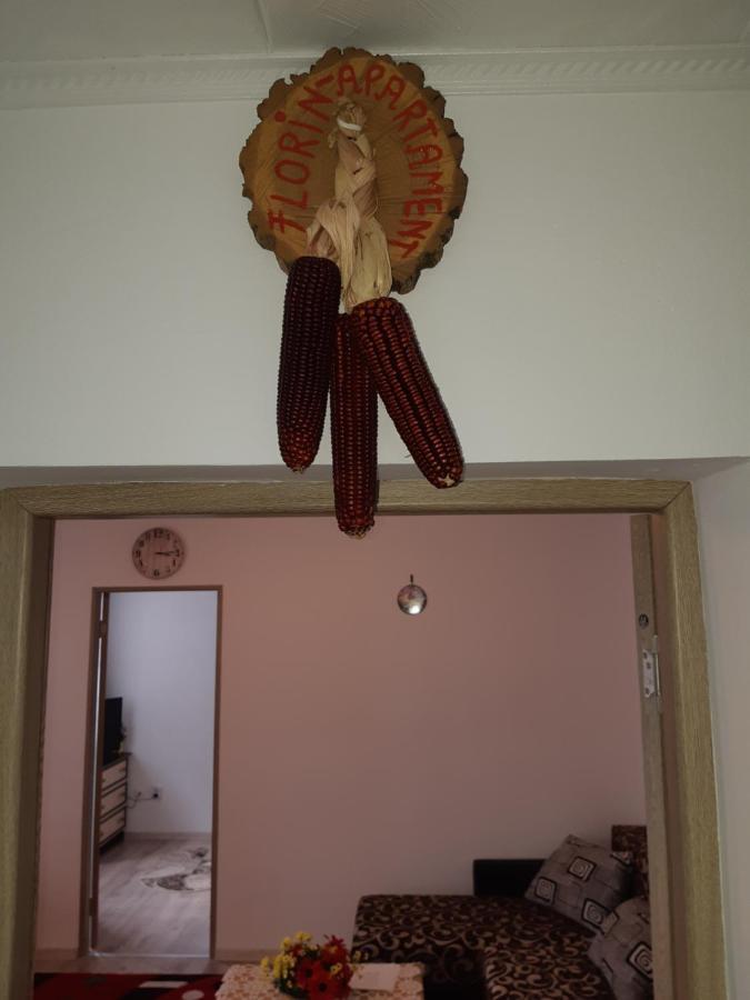 Florin Apartament سيفِسوارا المظهر الخارجي الصورة