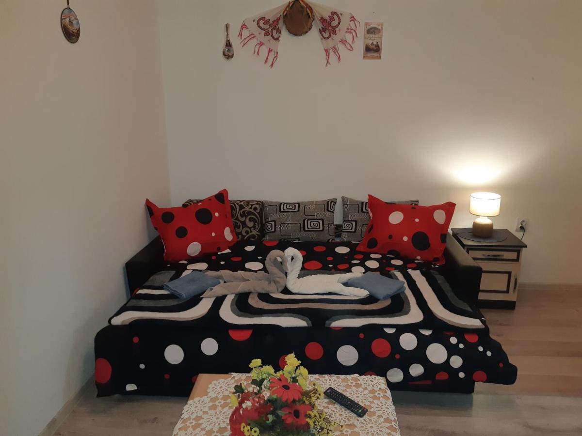 Florin Apartament سيفِسوارا المظهر الخارجي الصورة