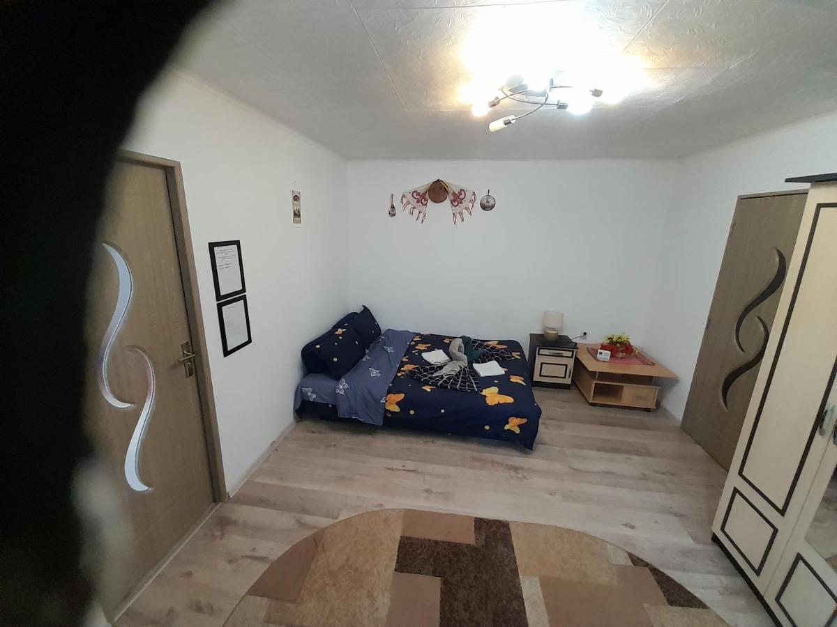 Florin Apartament سيفِسوارا المظهر الخارجي الصورة