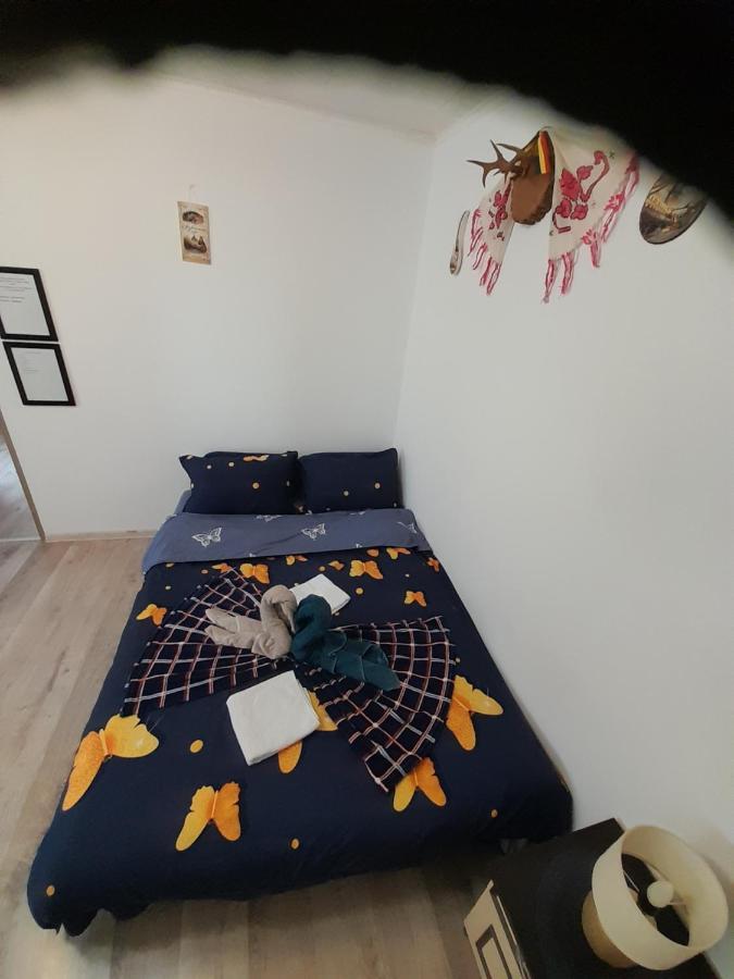 Florin Apartament سيفِسوارا المظهر الخارجي الصورة