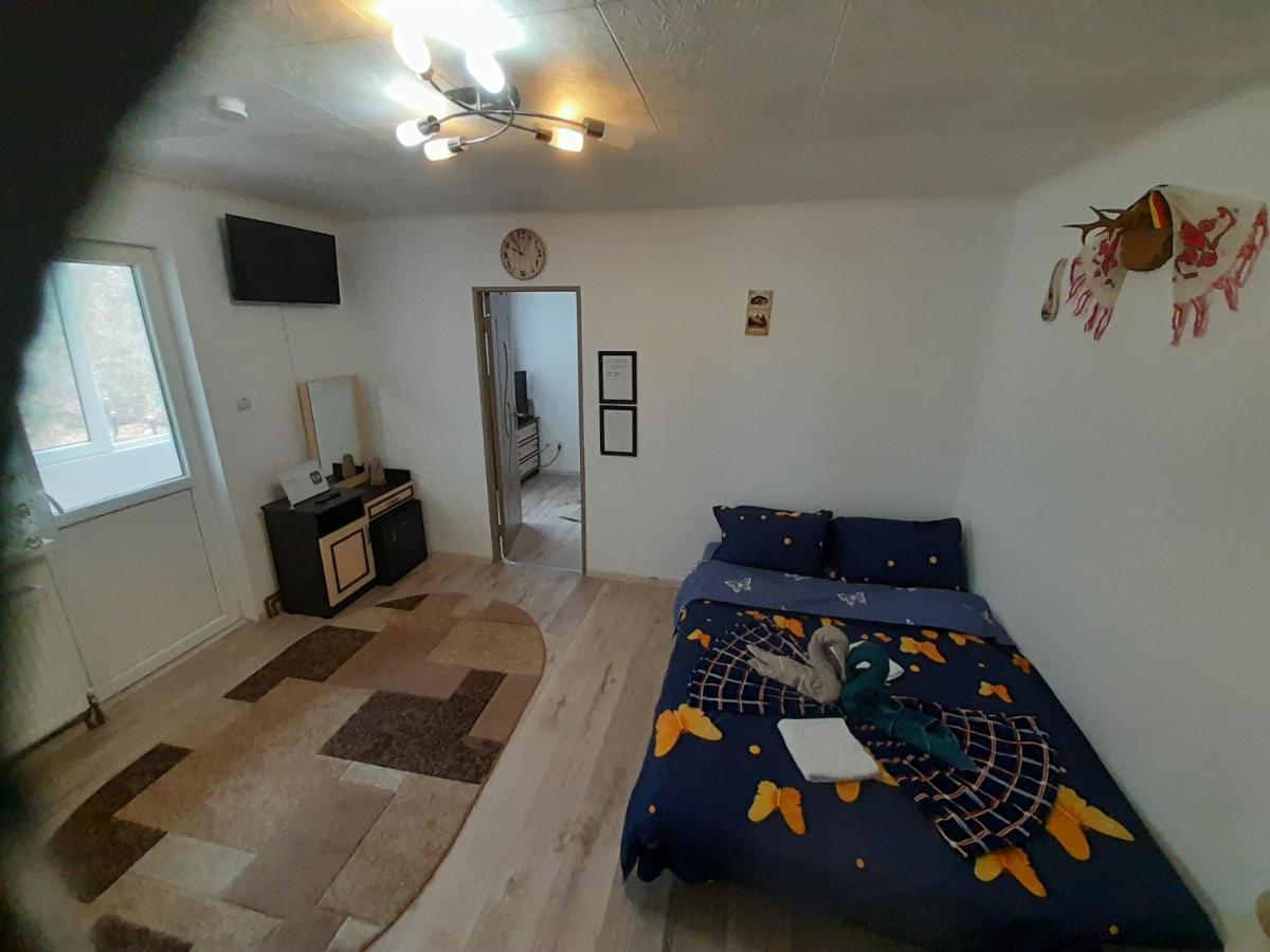 Florin Apartament سيفِسوارا المظهر الخارجي الصورة